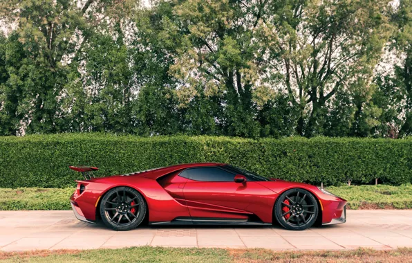 Picture Ford, Ford GT, 2017, GT