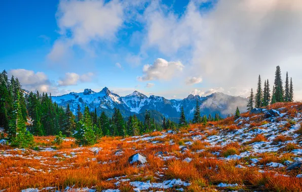 Clouds, Mountains, Snow, USA, Landscape, Mount Rainier National Park