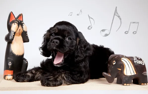 Picture notes, puppy, yawns, figures, elephant, Cocker Spaniel