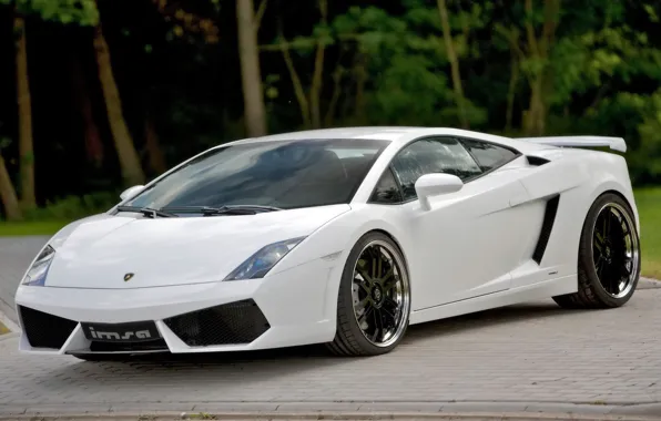 Coupe, sports car, LP560, Lamborghini Gallardo, sports car, IMSA