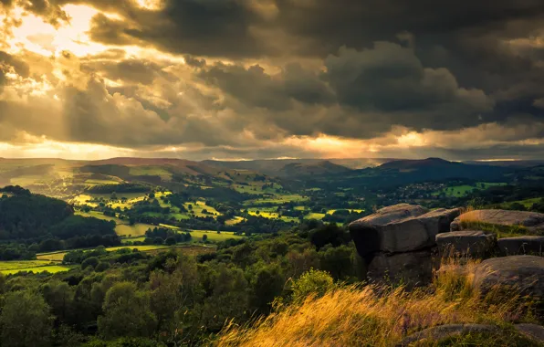 Field, summer, the sun, clouds, trees, landscape, mountains, clouds