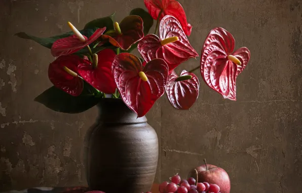 Flowers, Red, fruit, still life, male happiness, composition, Anthurium