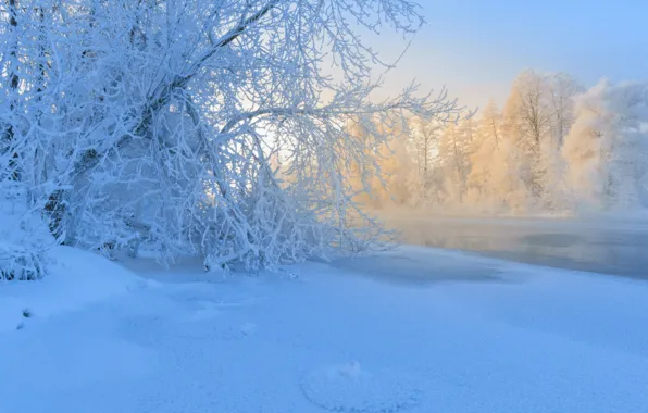 Picture winter, frost, snow, trees, river, frost, Russia