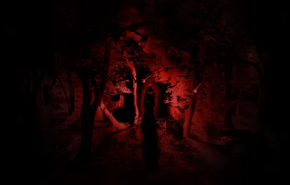 Forest, light, night, horror, witch