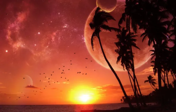 Palm trees, planet, Sunset