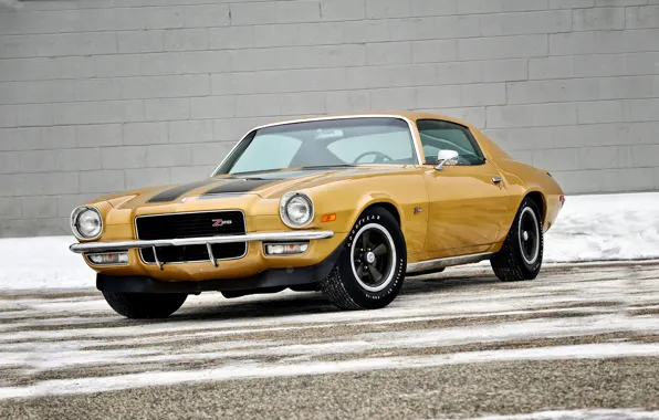Chevrolet, Camaro, Chevrolet, 1970, Camaro, Z28