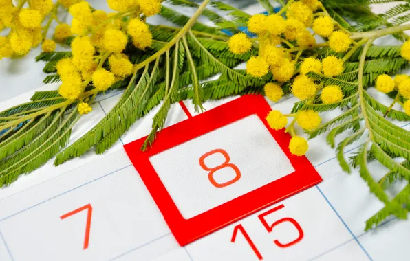Yellow, red, calendar, March 8, flowers, number, date, Mimosa