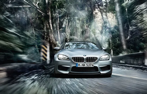 Picture BMW, Speed, Gran Coupe, Dynamics