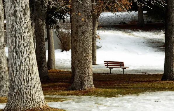 The city, Park, bench