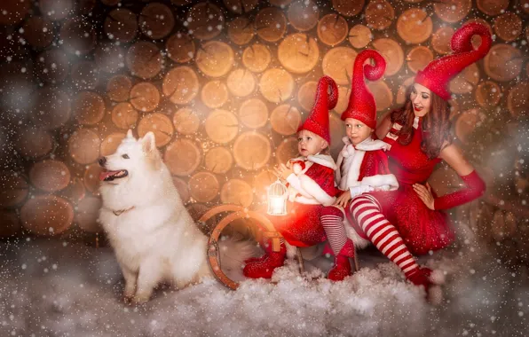 Picture girl, snow, children, dog, sleigh, caps, Samoyed