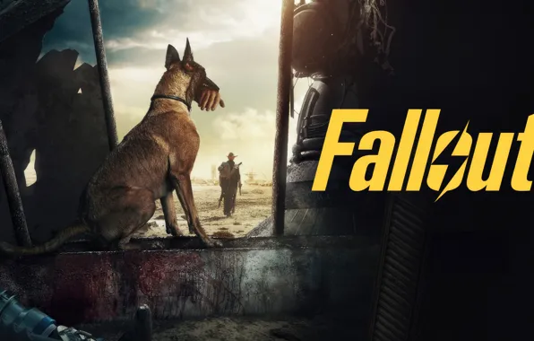 Picture Movies, Fallout, Prime series, Dogmeat, 2024 Series