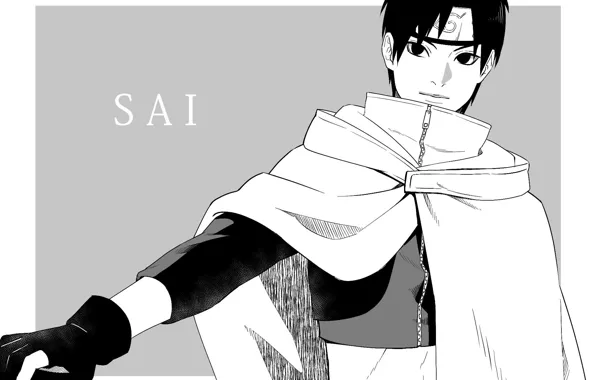 Guy, cloak, Naruto, Naruto, SAI