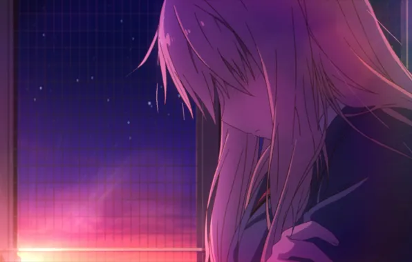 Girl, rays, sunset, one, Sakurasou no Pet na Kanojo, Shi Has Organizations, volossy, Kitty from …