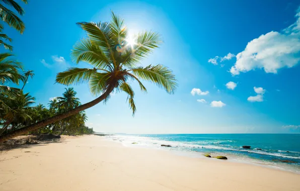 Picture sea, beach, Tropics, Caribbean
