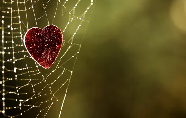 Picture background, heart, web, green