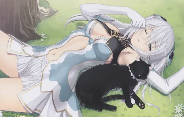 Picture grass, blonde, sleeping, corset, game, black cat, lying on her back, gloves elbow