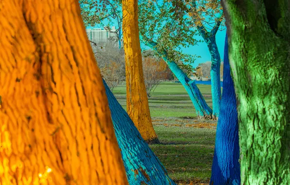 Grass, trees, the city, Park, paint, color, trunk