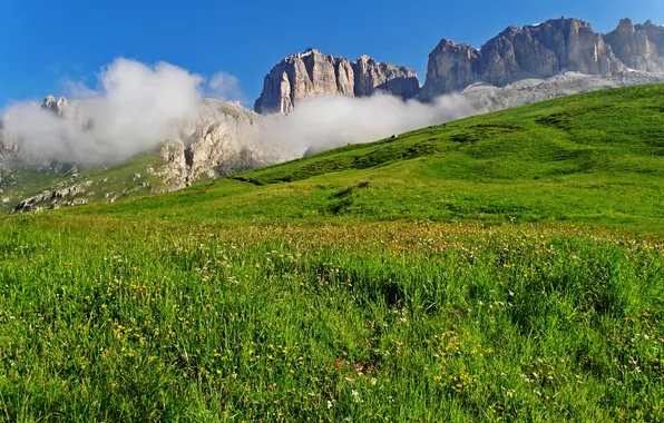Alps, meadow, Italy, herbs, mountain range, The Dolomites