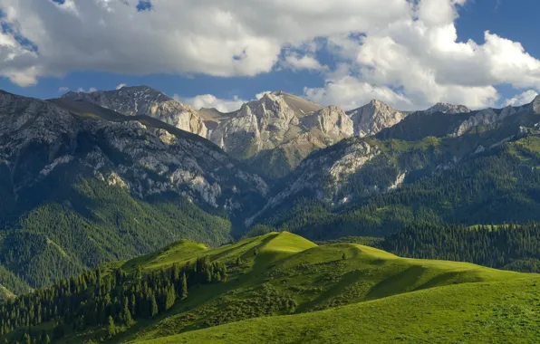 The sky, grass, clouds, trees, mountains