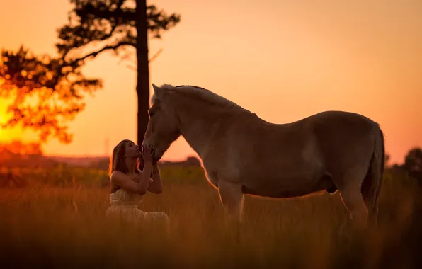 Picture girl, sunset, horse