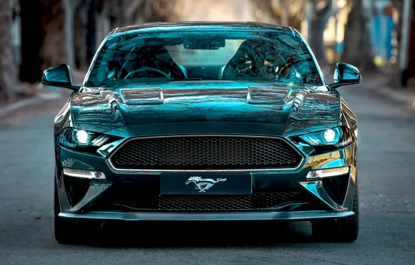 Wallpaper Bullitt, front view, 2019, Mustang, Ford