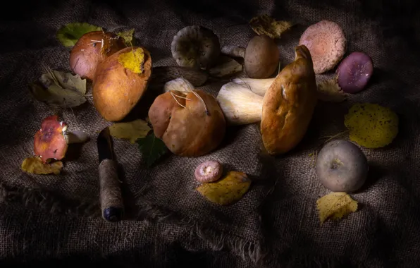 Mushrooms, knife, still life, a lot, different, burlap, autumn leaves