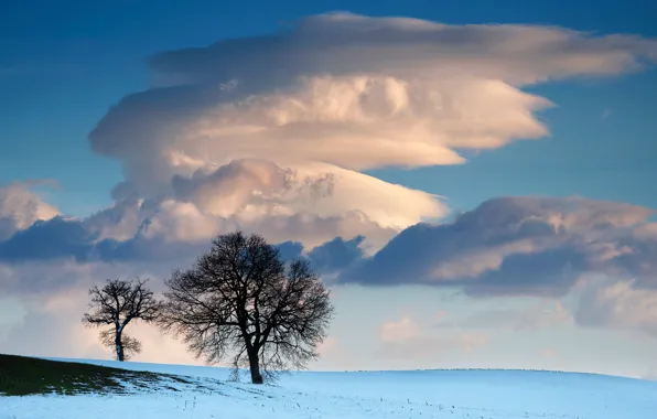 Winter, field, the sky, clouds, snow, trees