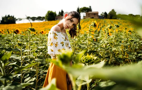 Look, the sun, sunflowers, nature, pose, model, skirt, portrait