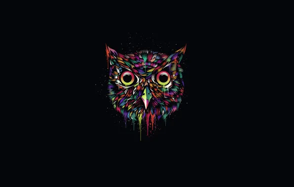 The dark background, owl, paint, minimalism, owl