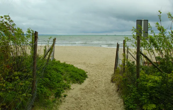 Beach, sea, water, sand, path