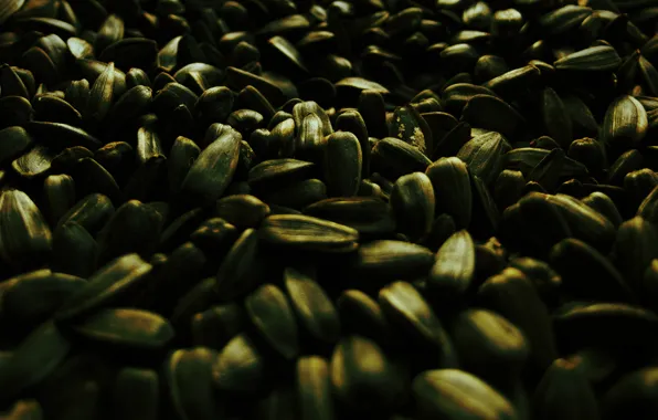 Glare, shadow, form, relief, Seeds