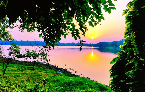 Sun, Water, Sunrise, Dawn, Morning, Lake, Trees, Reflection