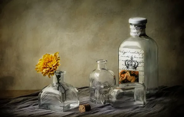 Flower, glass, bottle, dishes, tube, still life