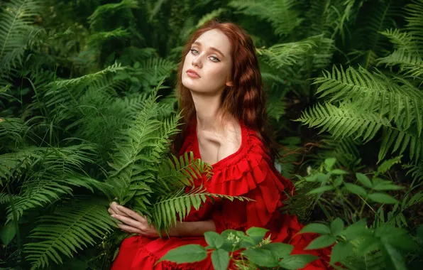 Girl, nature, thickets, dress, red, fern, Anastasia Barmina, Anastasia Barmina