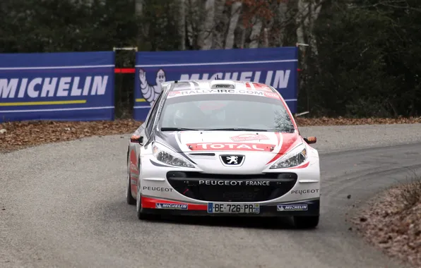 Picture Auto, White, Sport, Machine, Logo, Race, Peugeot, Peugeot