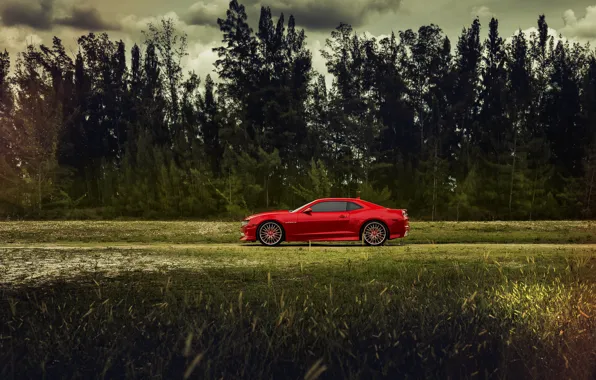 Picture The sky, Field, Grass, Trees, Chevrolet, Forest, Machine, Camaro