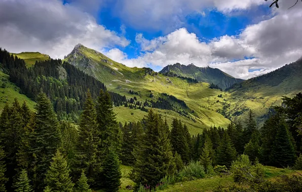 Forest, clouds, trees, mountains, France, valley, meadow, Mieussy