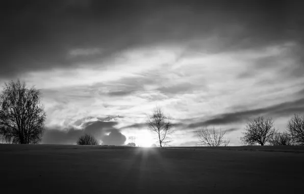 Winter, snow, winter, snow, sun, cold, black and white