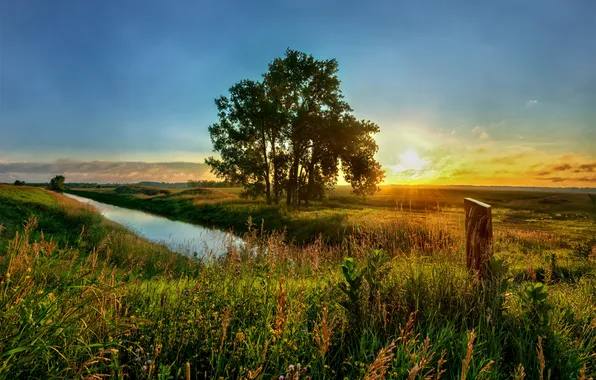 Picture summer, grass, the sun, sunset, nature, river, tree, Field