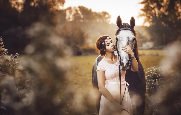 Field, girl, nature, horse, horse, brunette, walk, friends
