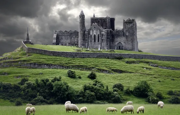 Picture clouds, castle, sheep, hill, Ireland, Ireland