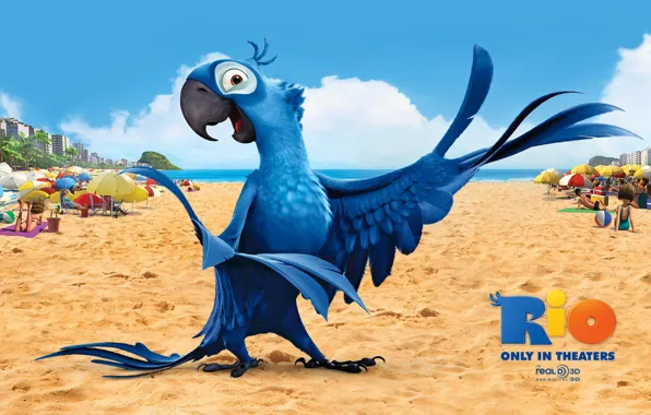 Picture sand, beach, bird, cartoon, wings, feathers, beak, parrot