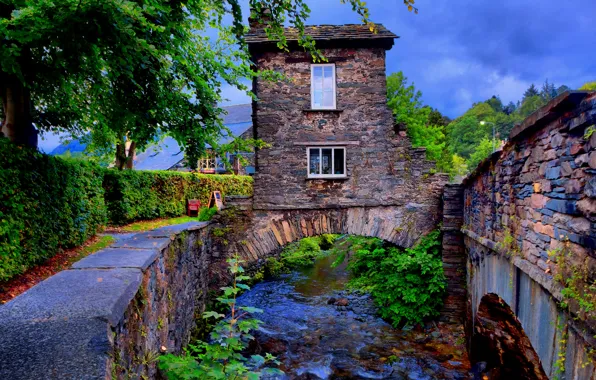 Picture the sky, clouds, trees, bridge, the city, river, tower