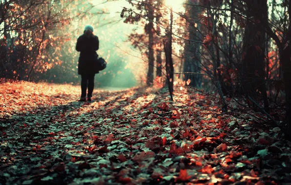 Picture girl, loneliness, the pile of leaves