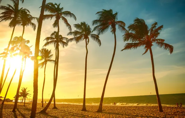 Sand, sea, beach, summer, the sky, the sun, joy, nature