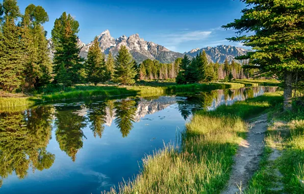 Picture trees, mountains, reflection, river