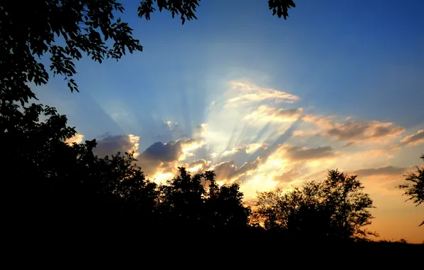 Picture rays, nature, the sun, mood, black, summer, photo, the sky