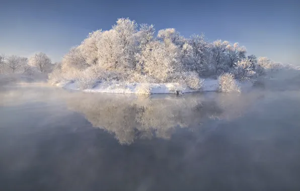 Ice, frost, snow, trees, nature, fog, lake, island