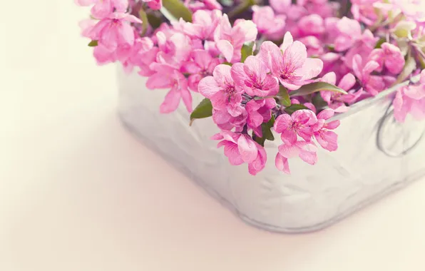 Picture flowers, basket, bouquet, pink