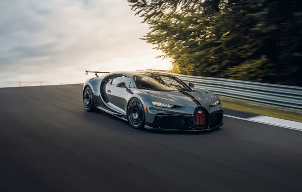 Vegetation, the fence, Bugatti, track, Chiron, 2020, Chiron Pur Sport